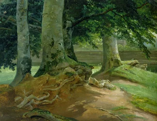 Buchen in Frederiksdal bei Kopenhagen, 1828